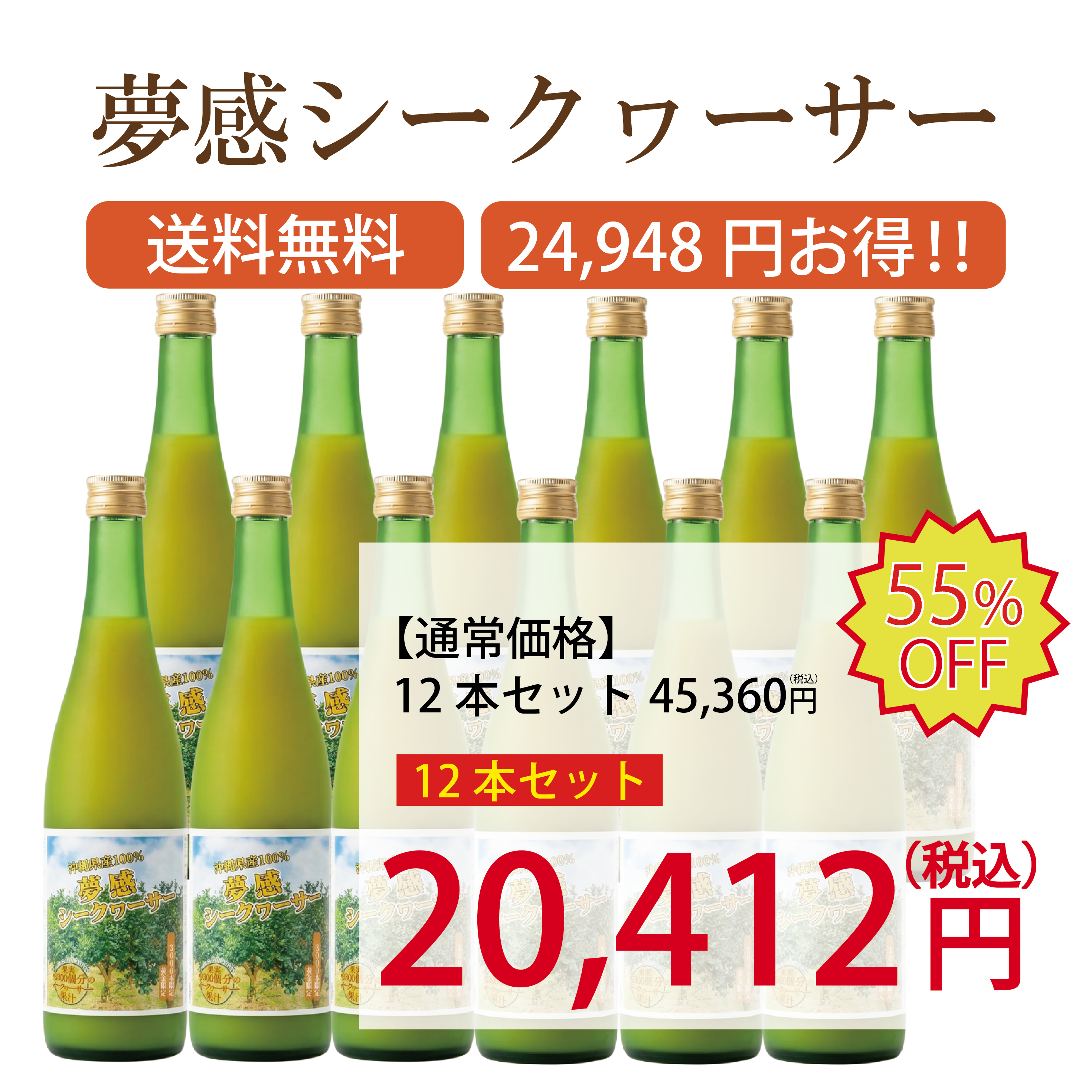 沖縄県産夢感シークヮーサー12本セット【送料無料】