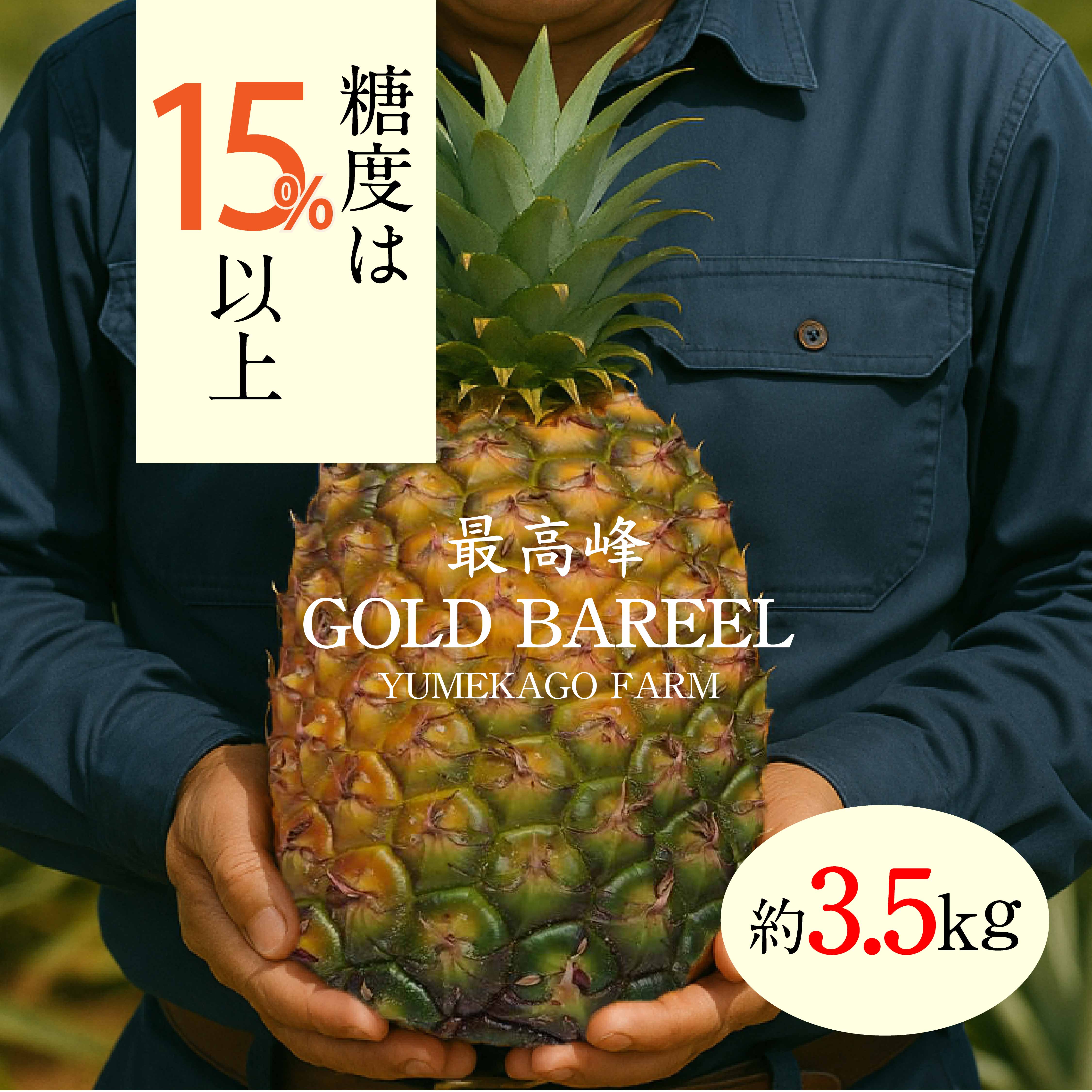 夢感動ファームゴールドバレル(約3.5kg)【送料無料】