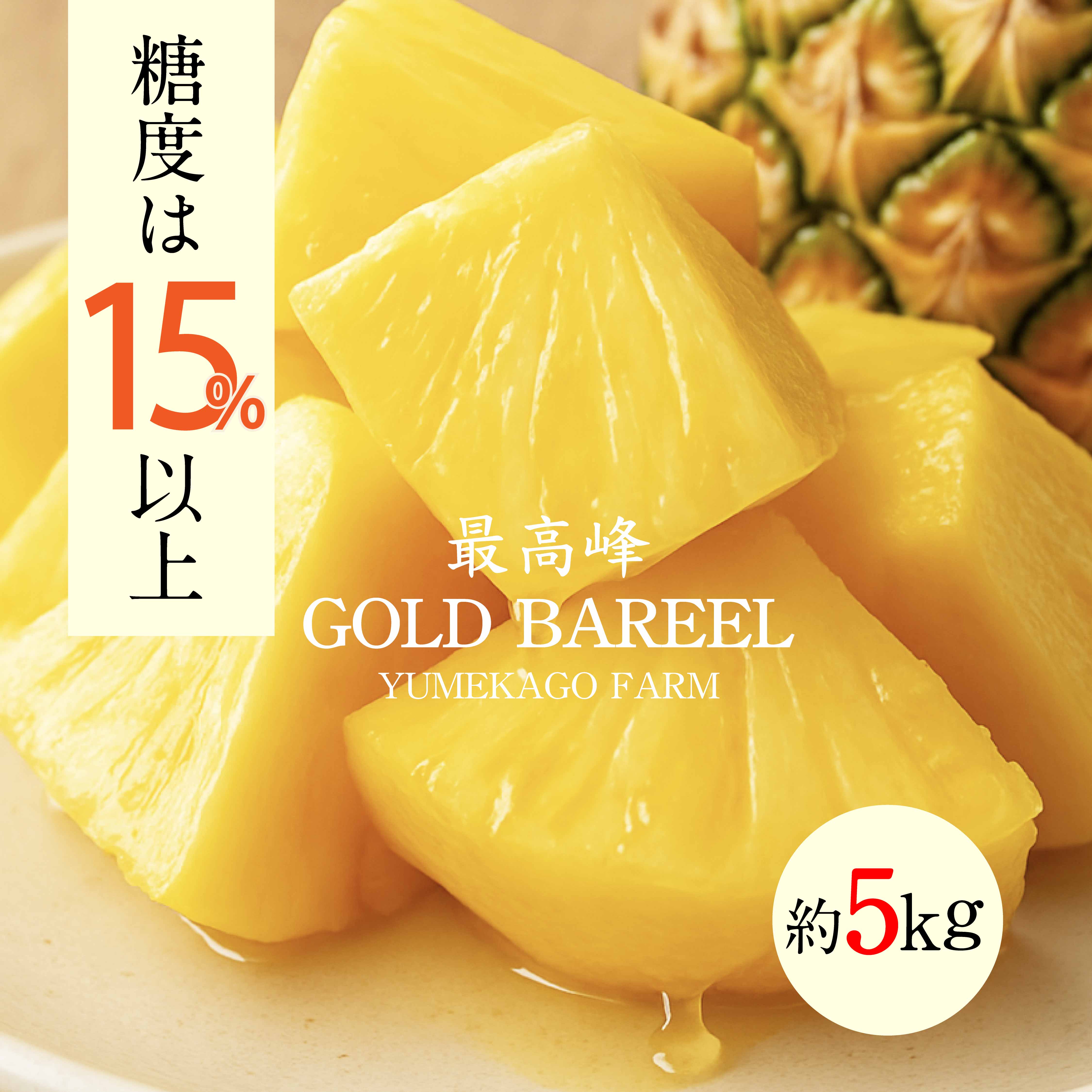 夢感動ファームゴールドバレル(約5kg)【送料無料】