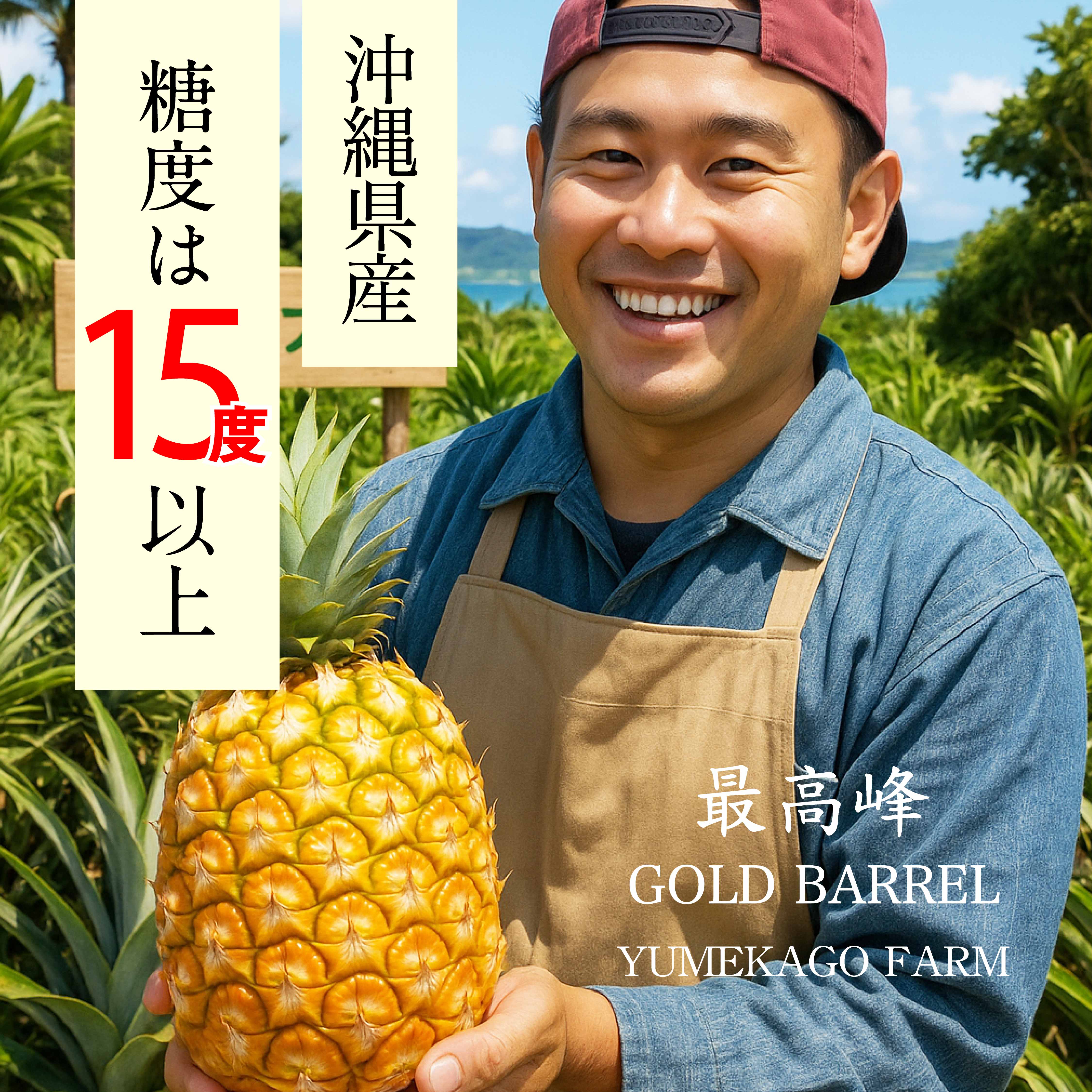 夢感動ファームゴールドバレル(約2kg)【送料無料】