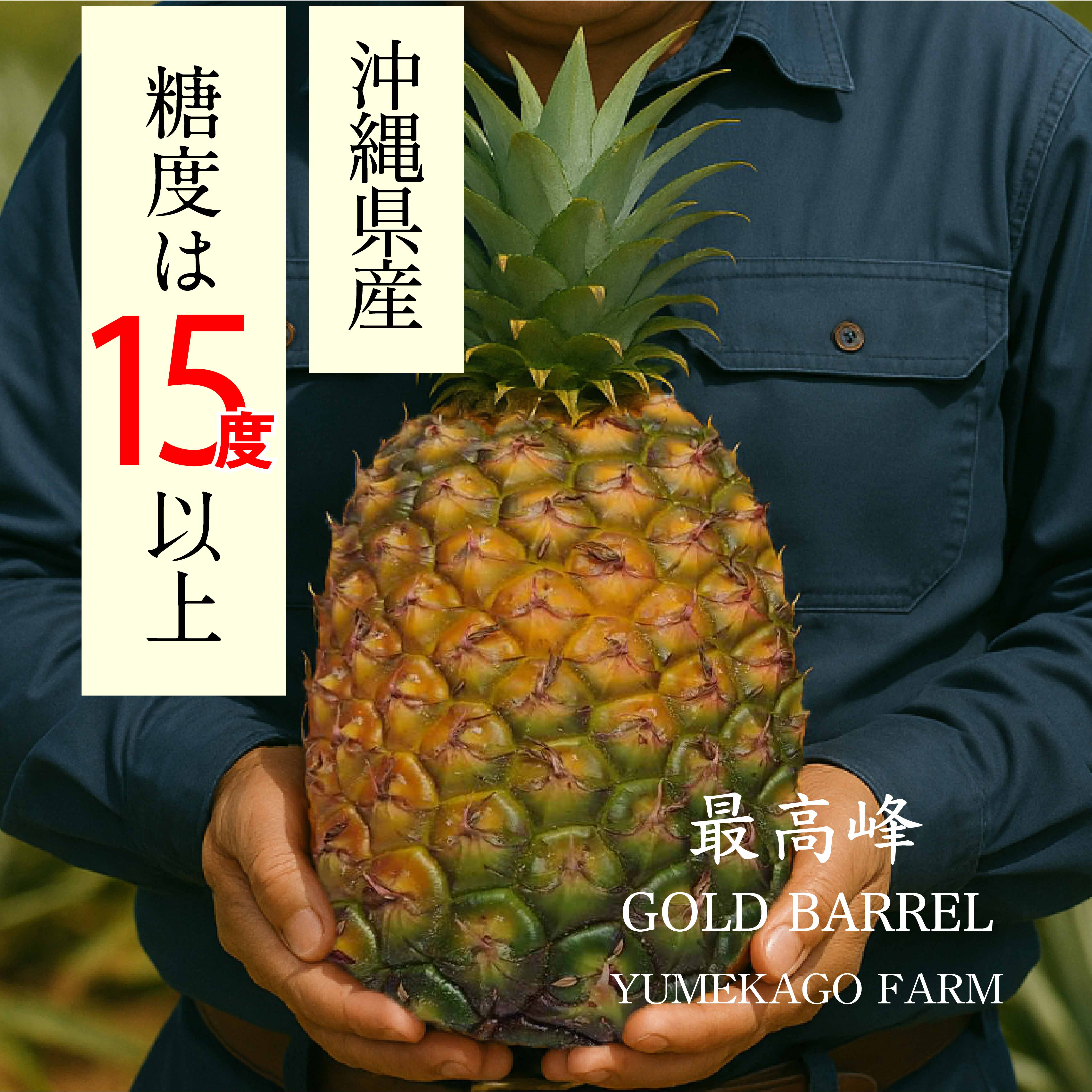 夢感動ファームゴールドバレル(約3.5kg)【送料無料】