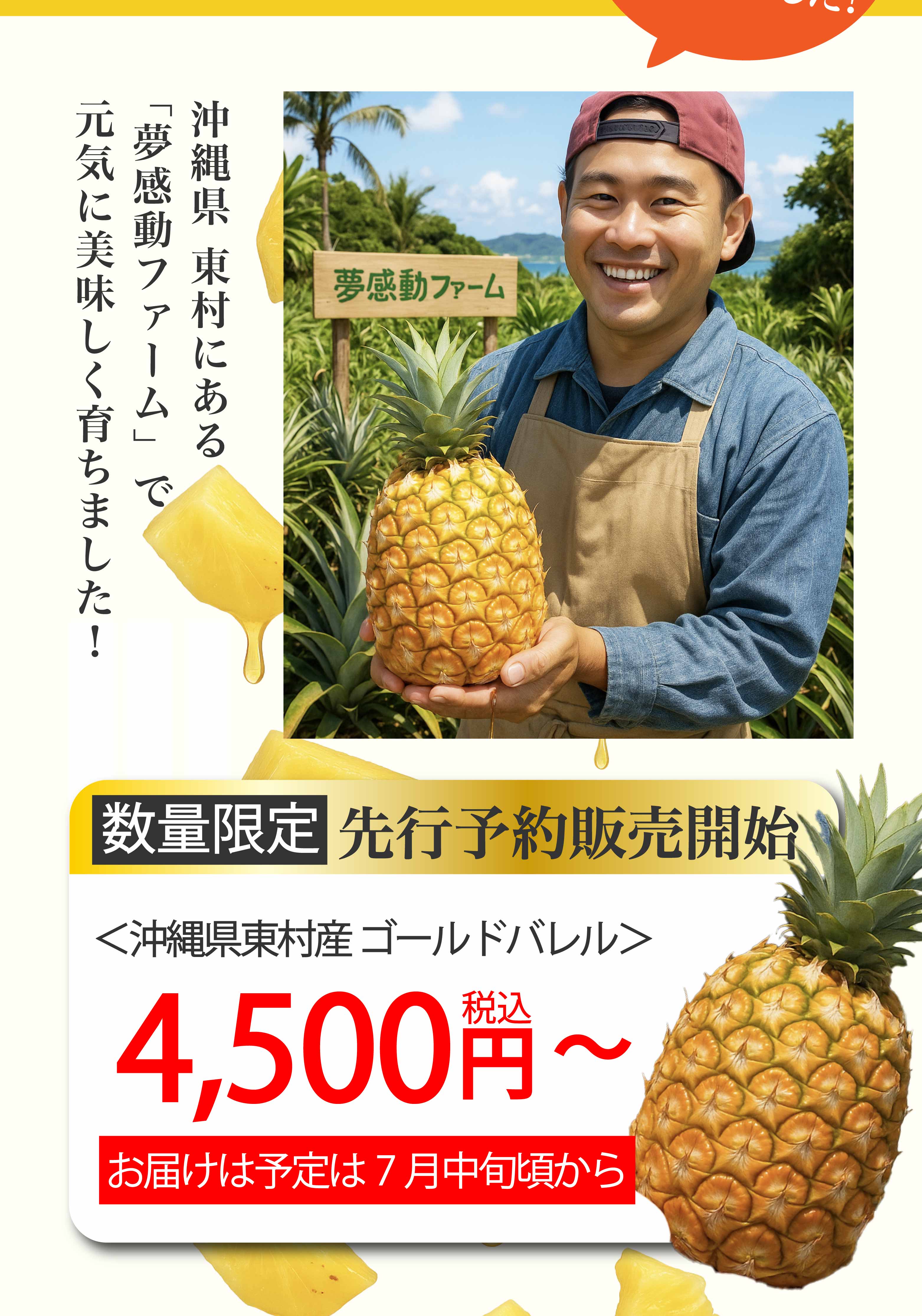 先行予約販売開始！沖縄県東村にある夢感動ファームで元気に美味しく育ました。