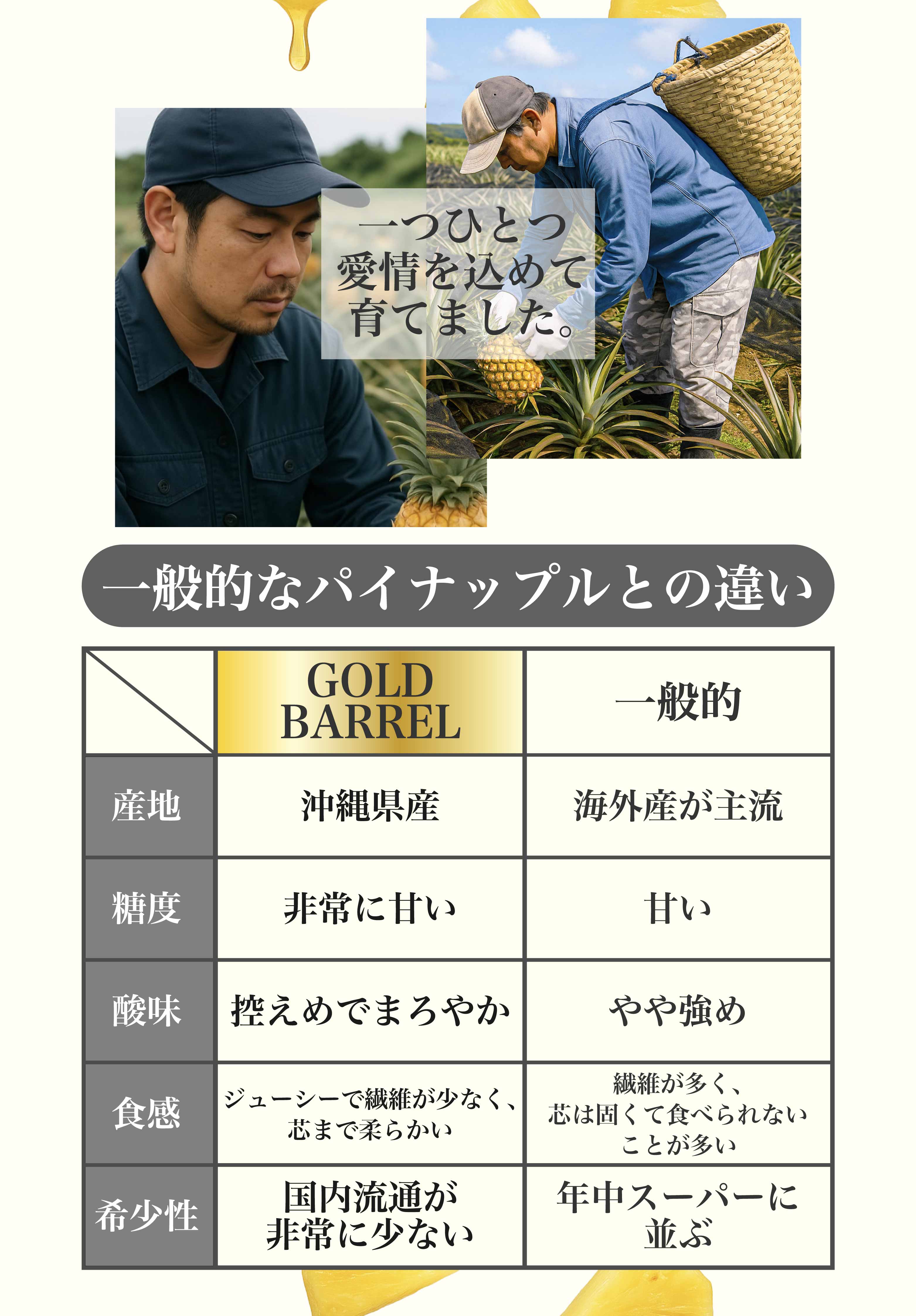 ゴールドバレルと一般のパイナップルの違い比較表