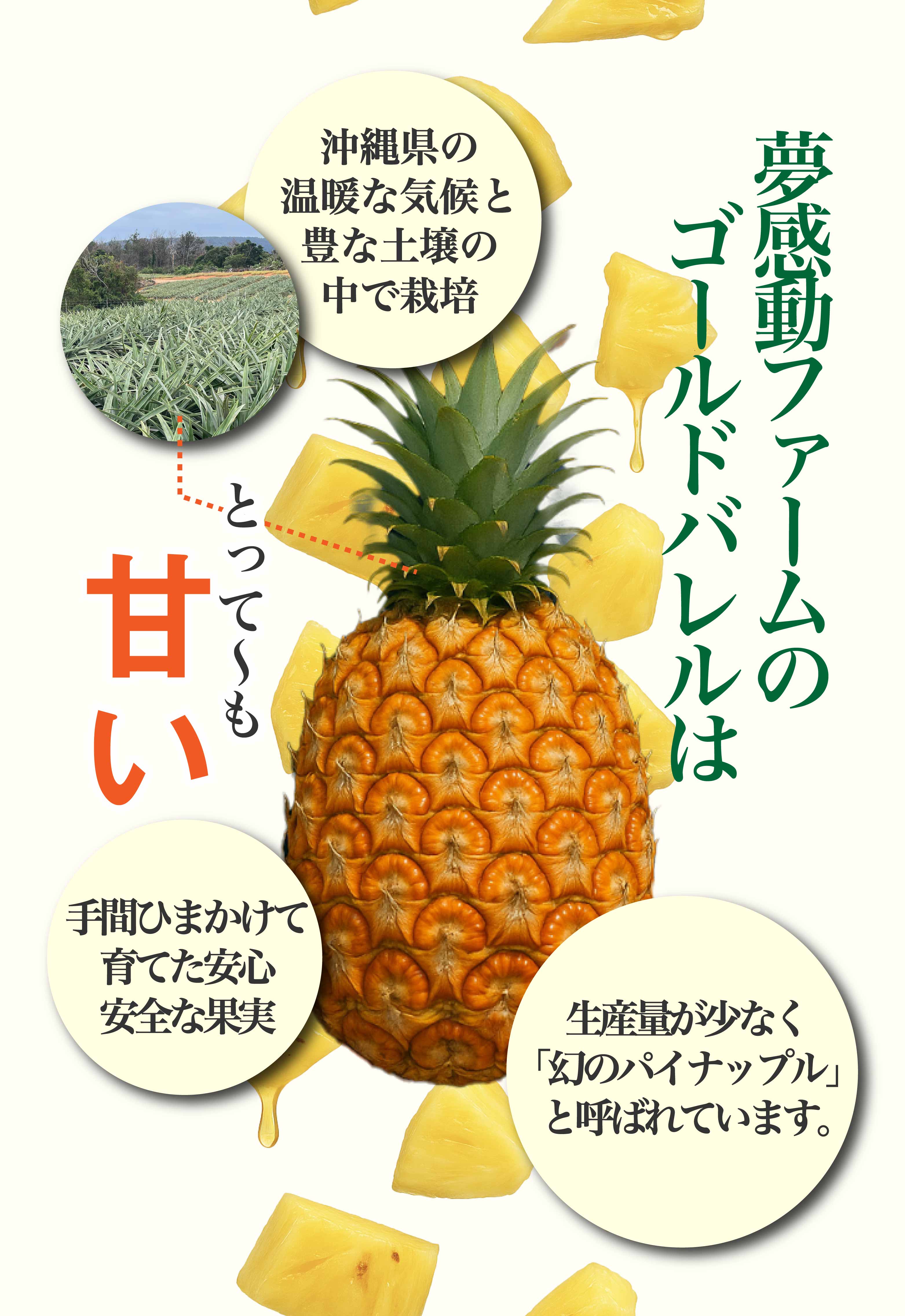 夢感動ファームのゴールドバレルは生産量が少なく「幻のパイナップル」と呼ばれています。