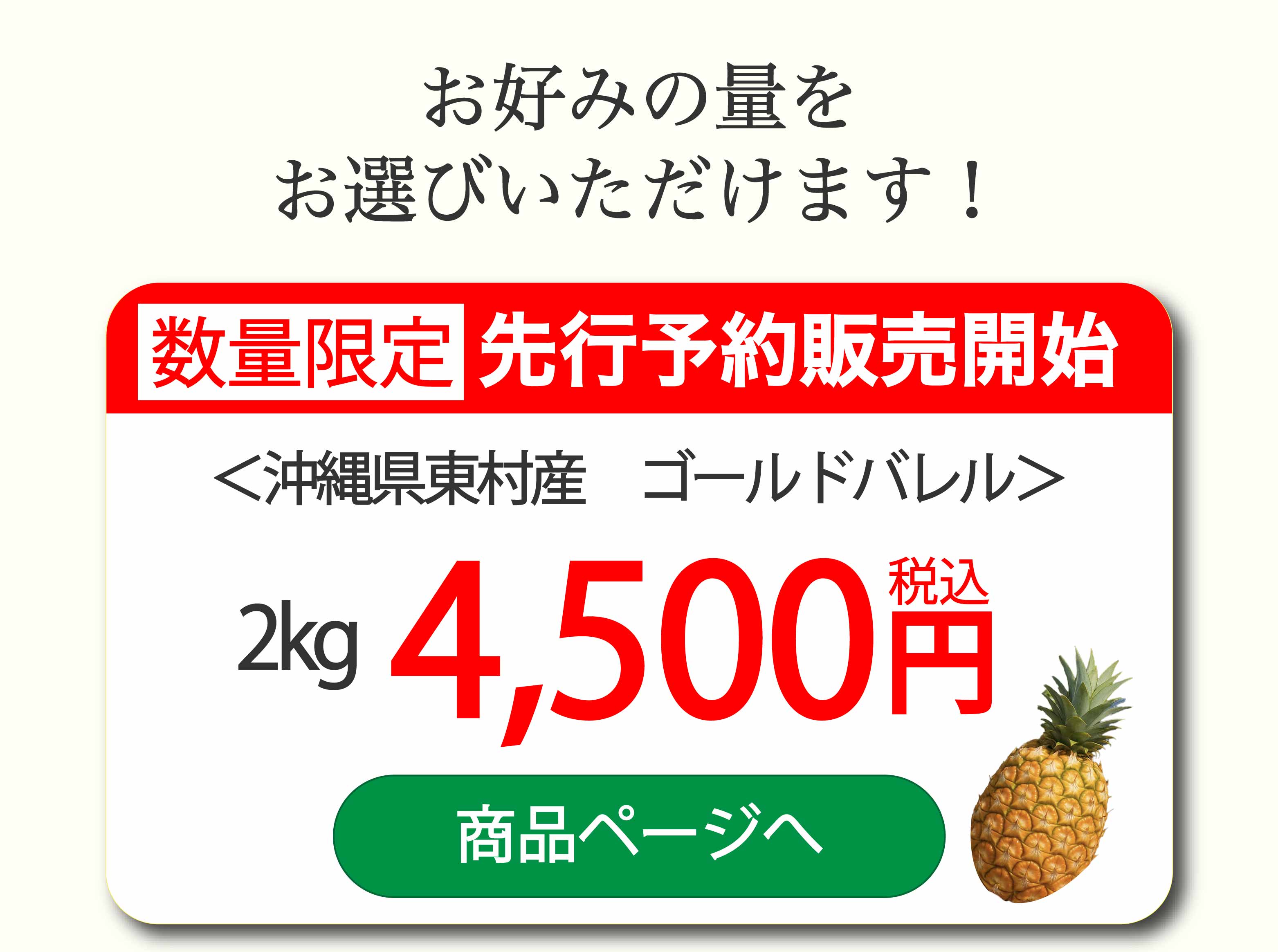 約2kg 4,500円