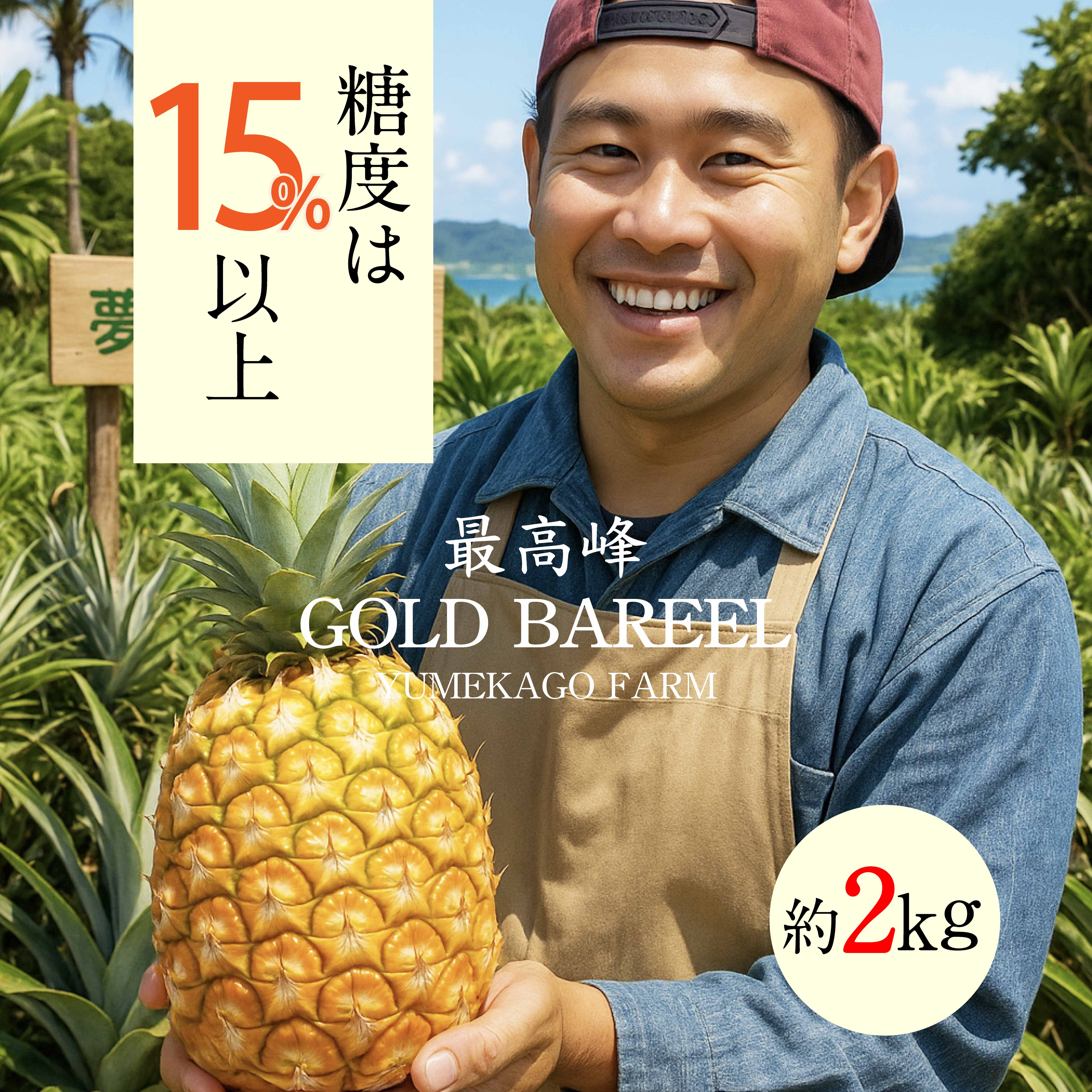 約2kg 4,500円